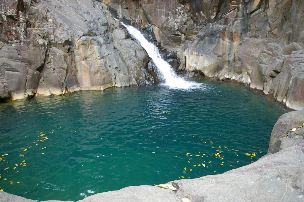 Kaz Creole Aventure Tropicale Insolite, Fibre, Jardin Et Jacuzzi Prives 圣弗朗索瓦 外观 照片